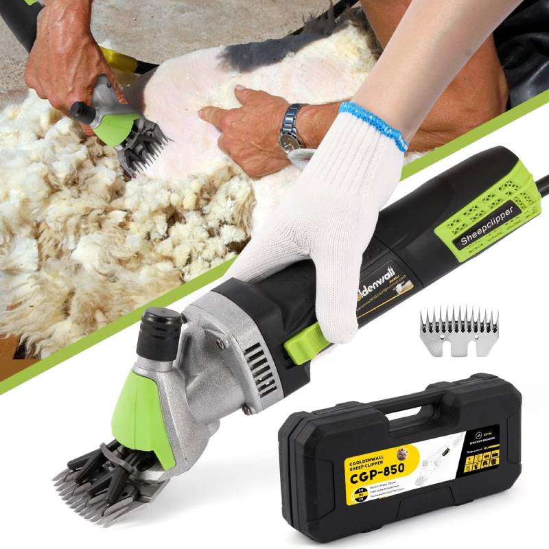 Tondeuse à mouton Elevage Mouton — free download