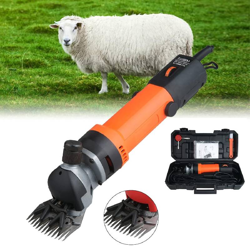 Tondeuse à mouton Elevage Mouton — free download